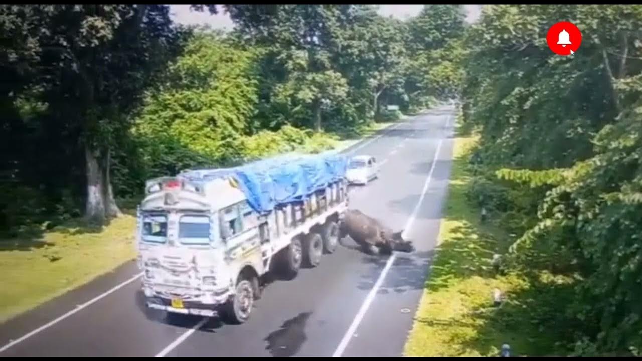 Индийские перегруженные Грузовики