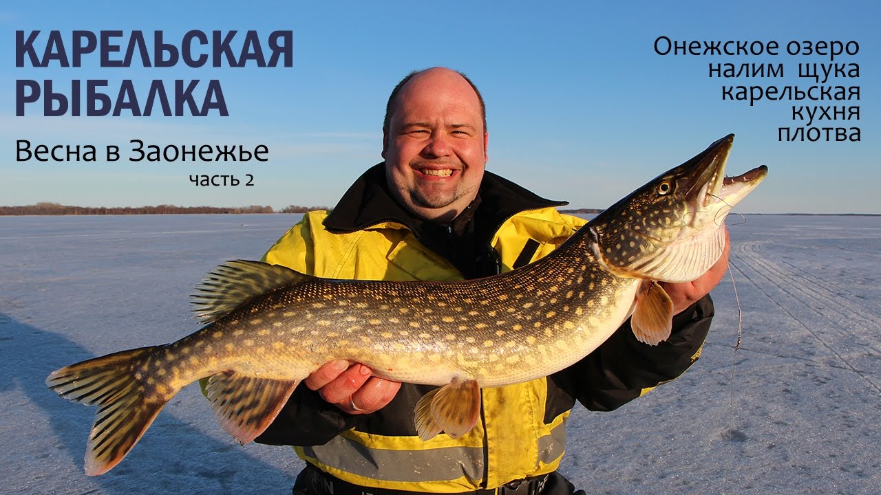 Как поймать налима на стукалку зимой Как поймать налима на стукалку зимой