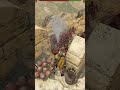 Fire Pot is so relaxing - Mount & Blade II: Bannerlord