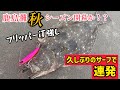 ヒラメの釣り方❗️鹿島灘サーフ攻略❗️