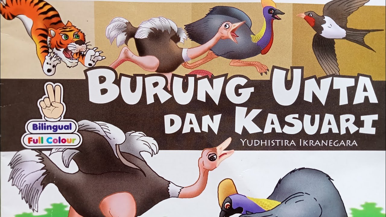 720 Koleksi Gambar Kartun Burung Kasuari Gratis Terbaik