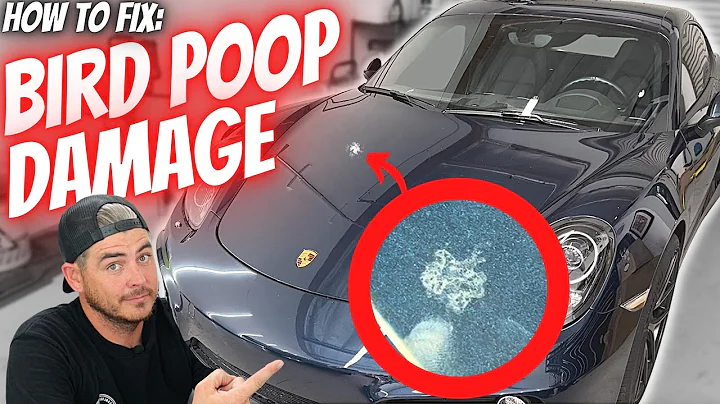 How to fix BIRD DROPPING DAMAGE on your car | Car Detailing Tips