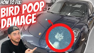 How to fix BIRD DROPPING DAMAGE on your car | Car Detailing Tips