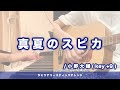 真夏のスピカ / 小野大輔( key +9 )【歌ってみた&弾いてみた】Acoustic Arrange
