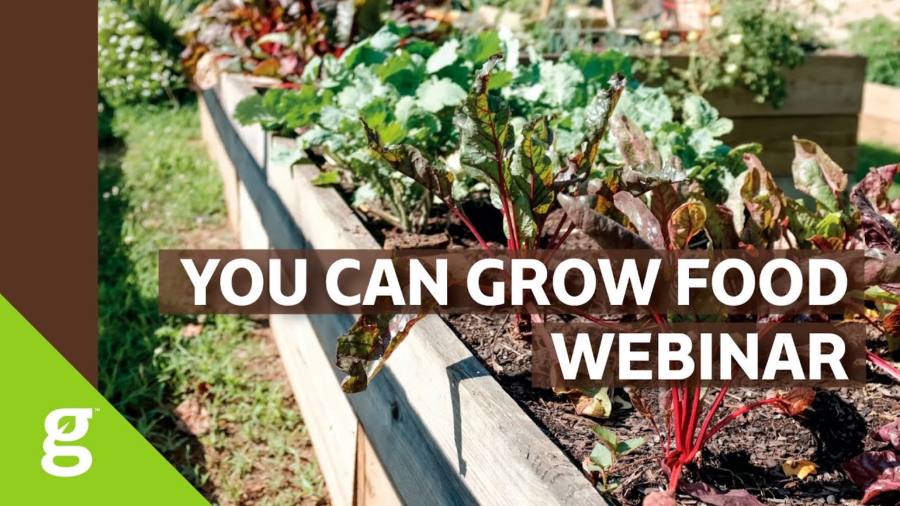 Marjory Wildcraft: You Can Grow Food Webinar