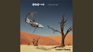 Spider (Original Mix)
