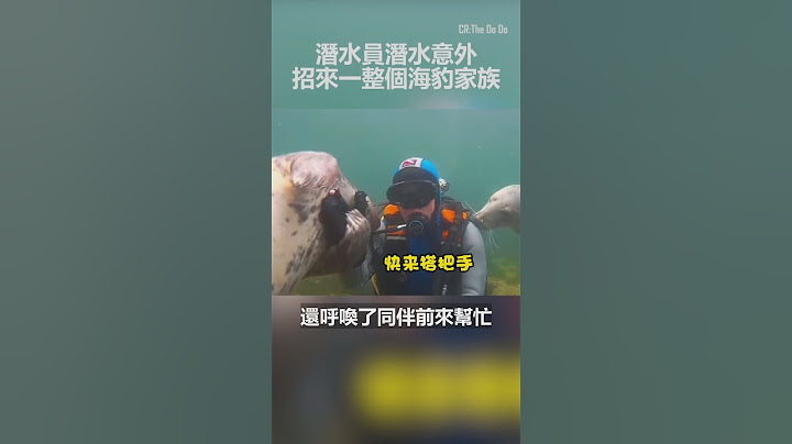 潛水員潛水竟意外招來海豹家族,過程讓人哭笑不得! #動物 #可愛 #善良 #Shorts