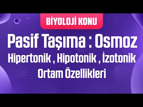 Video: Osmos hipertonik hipotonikdir, yoxsa izotonik?