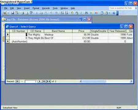 2.3 Creating Simple Queries in Access