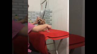 Стрижка головы йорка в корейском стиле Стрижка головы йорка в корейском стиле