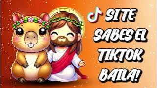 SI TE SABES EL TIKTOK BAILA! - 2025