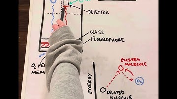 Optical Dissolved Oxygen Sensors