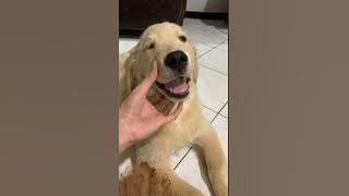 TRIPLE S LIVE - WAKTUNYA BOBOK CIANG..