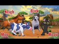 Animal Sounds Song for Kids 🐶🦁 Learn Animal Names &amp; Sounds | Fun Nursery Rhymes Meow Meow TV