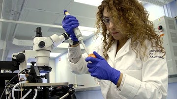 Bioelectronic and Bioprotonic Devices