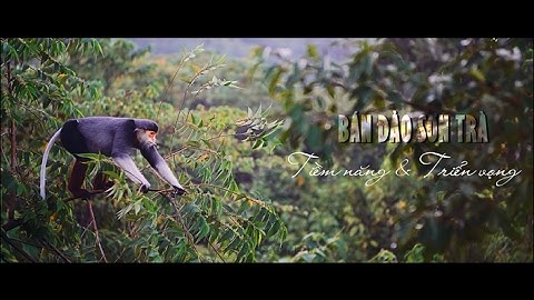 Phim quảng bá về "Bán Đảo Sơn Trà" - Đà Nẵng - Việt Nam 2017