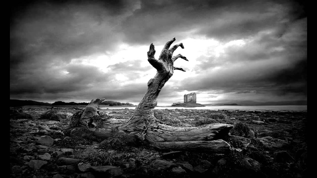 Lewis Fautzi - Tree (Original Mix)