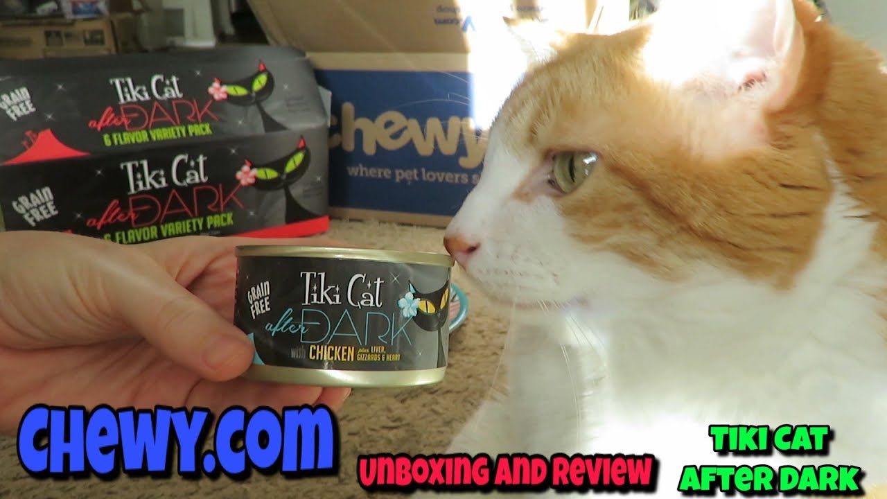 Unboxing And Review Tiki Cat After Dark YouTube