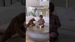 Toddler and puppy snack challenge  #snackchallenge #challenge #toddlerchallenge #boyandhisdog