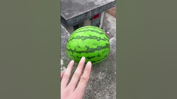 Experiment: Will a watermelon explode if it rolls down a tall building? 🍉💥#shorts #song #short