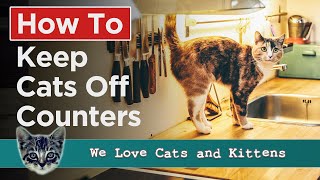 How To Keep Cats Off Counters: Smart Solutions For A Purr-free Countertop!