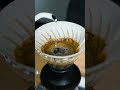 Hario Switch V60 | Brew Guide #shorts #coffee #guide #barista #pourover