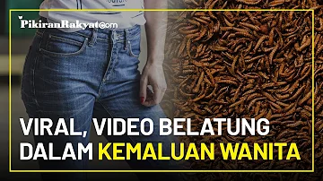 Viral, Video Belatung dalam Alat Kelamin Wanita di Sosial Media Twitter, Begini Penjelasan Medis