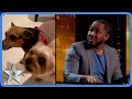 Kevon carter has the judges howling with hilarious animal audition  bgteaser  bgt 2024