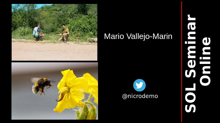 Mario Vallejo-Marin:Ev...  and functional signific...