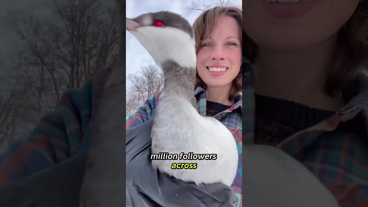 Your support is the reason our dreams, my dreams, keep growing. 💚🦫| WildLifeinc