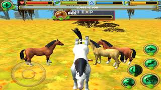 Wild Horse Simulator Become a real horse!