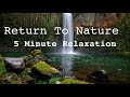 5 Minute Relaxation Music | Return To Nature | Soothing Water Sounds