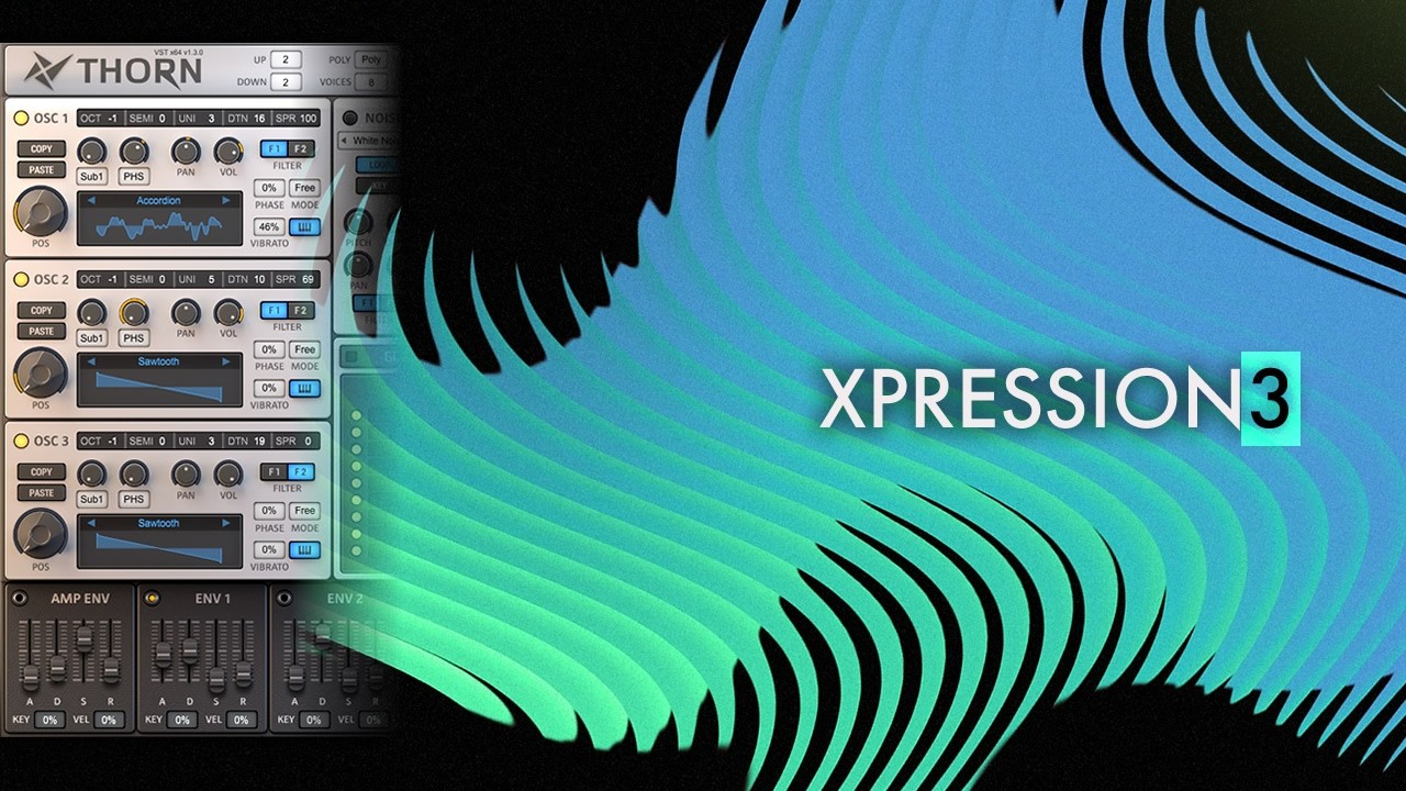 51 DS Thorn Presets | 