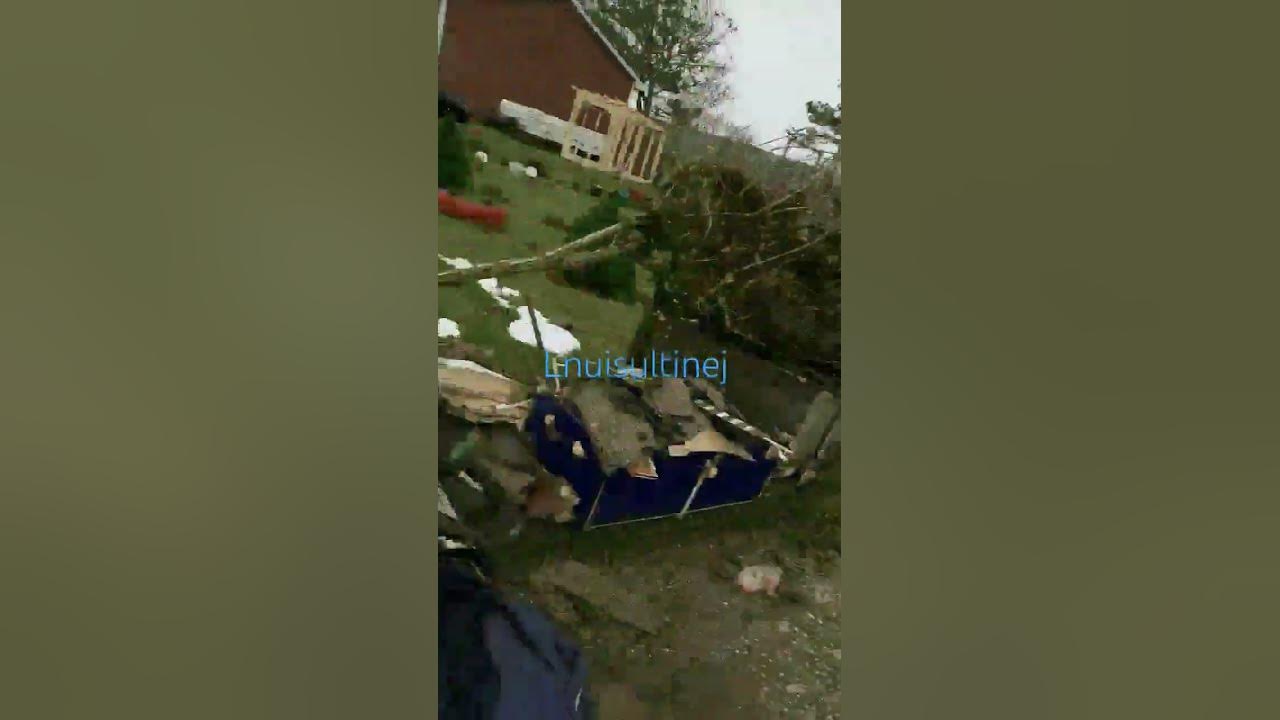 MAGGOTS. GARBAGE DAY. GREEN BINS lnuisi YouTube