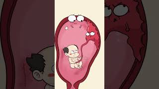 How Miscarriage Affects The Next Pregnancy