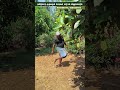 😱 60 Jackfruits on One Tree? Vietnam Jackfruit Reality Explained! 🌱