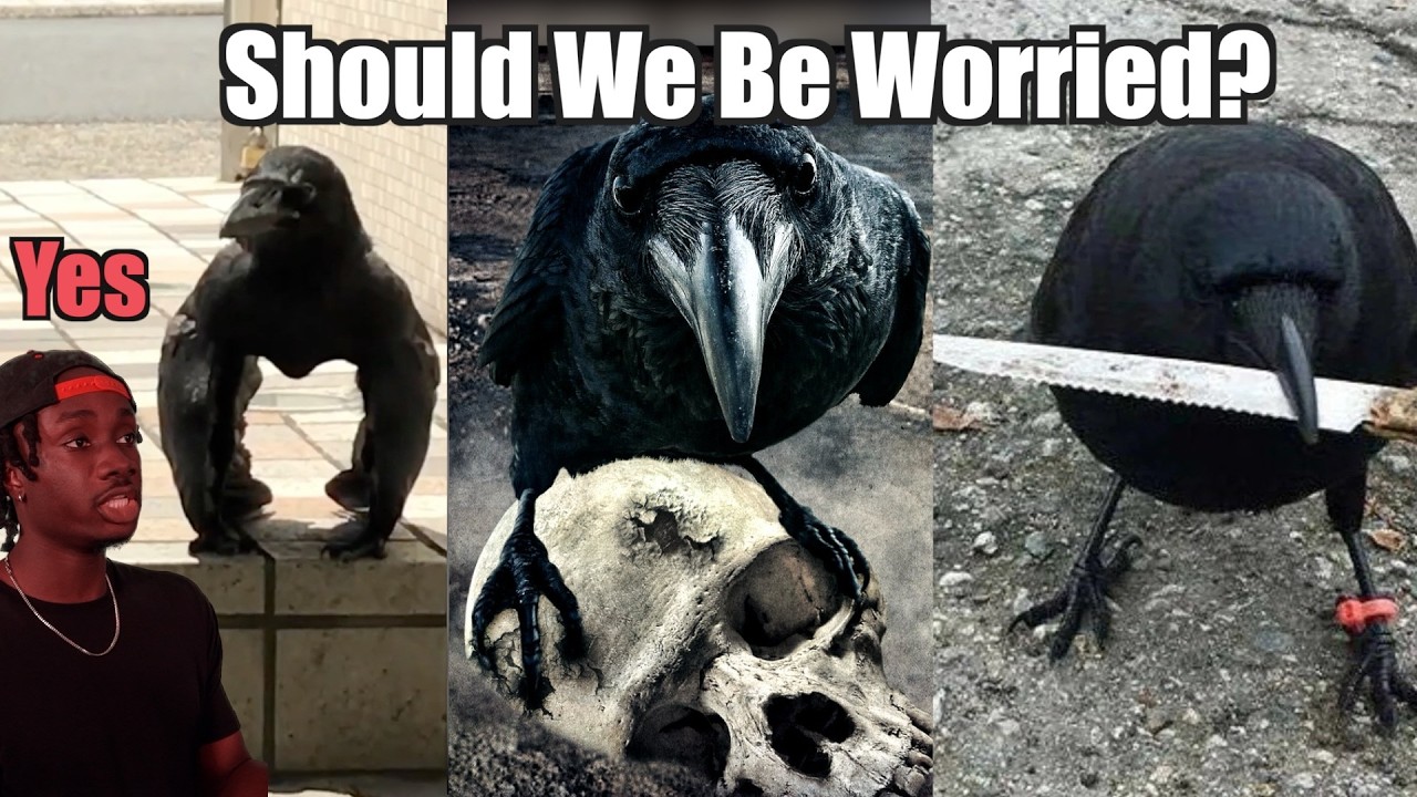 How Crows Gave Earth's Biggest City the Middle Finger