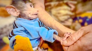 видео: Степашка держит папу за руку и учит его КАК нужно обращаться с женщинами:’’ ЗА ХВОСТ, И ОБ ЗЕМЛЮ’’!! картинка: Степашка держит папу за руку и учит его КАК нужно обращаться с женщинами:’’ ЗА ХВОСТ, И ОБ ЗЕМЛЮ’’!!