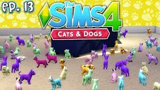 100 Cats & Dogs AT ONCE! - The Sims 4: Raising YouTubers PETS - Ep 13