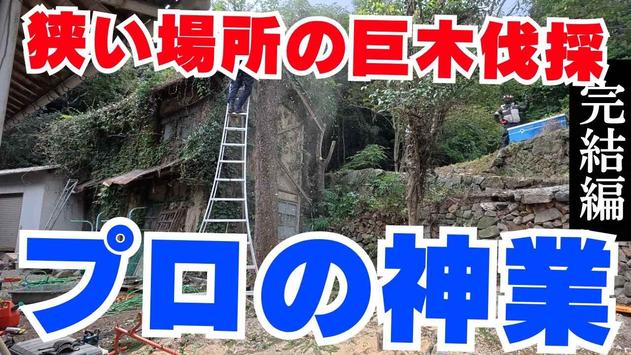 危険度MAX‼︎【暮らしを守る伐採と解体 完結編】岡山で建物ギリギリの現場で大木と構造物を撤去！