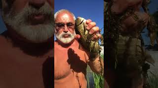 KILLER FISH 007 !!! TAGANKA 2023 !!! #fishing #carpfishing #carp #fish #food