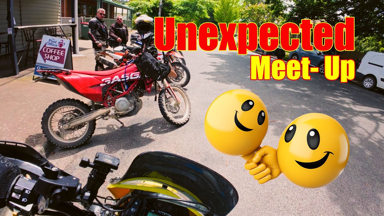 Неожиданная встреча