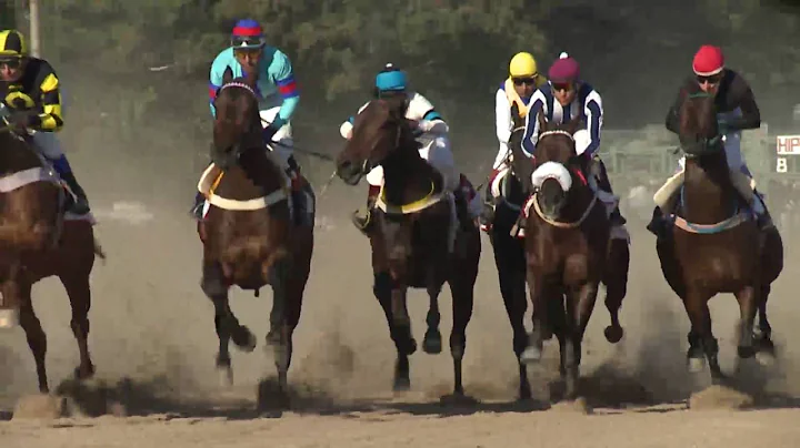 Jernimo Quintana, histrico variador de caballos de...