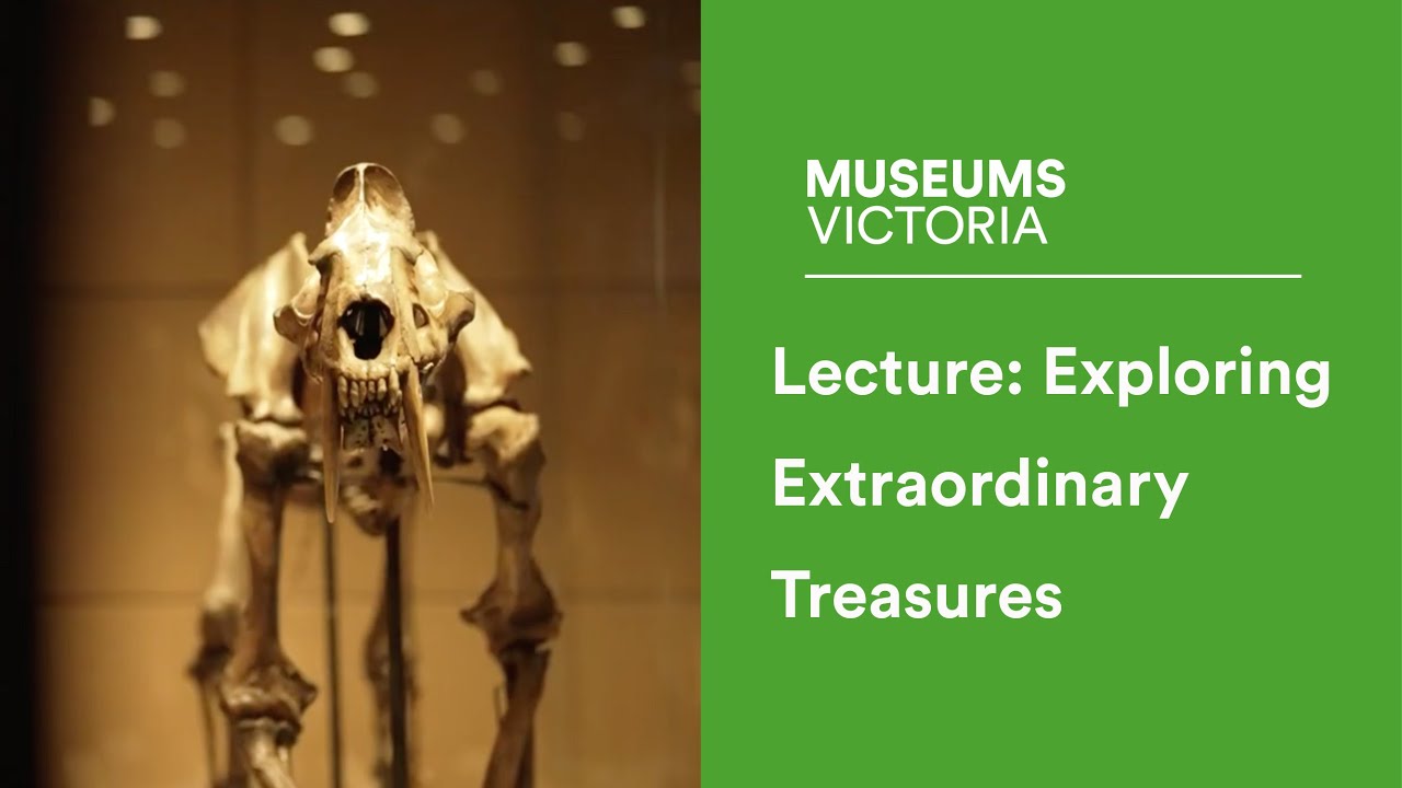 Museum Lecture: Exploring Extraordinary Treasures - YouTube