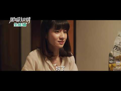 《黑喵知情》牠比我們的愛更深 更寵我們   8/2 療癒首播
