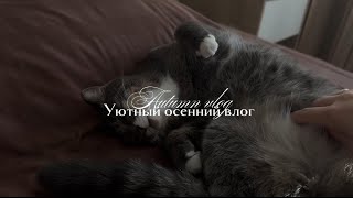 картинка: Уютный осенний влог /  уборка квартиры / болтаем 🧺🧼