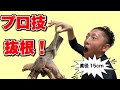 【抜根】道具を使えば簡単に根っこは抜けるプロの作業をお見せします！