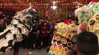 Thien Hau Temple Lunar New Year Lion dance 2019