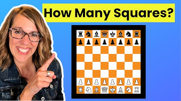 Can YOU Count ALL The Squares On A Chess Board?