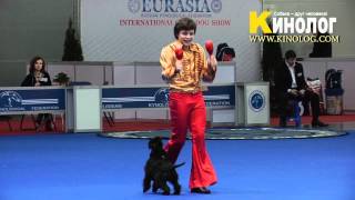 Dog Dancing Show 'Eurasia  2012 / Russia / Moscow'. Freestyle. by KinologVideo 7,806 views 12 years ago 4 minutes, 37 seconds